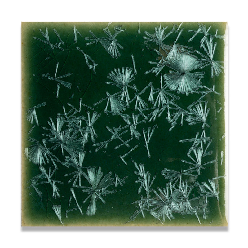 Bacardi Green | 4” x 4" Glaze Tile