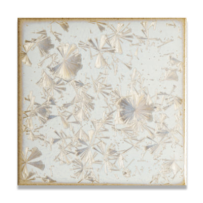 Coco White | 4” x 4" Glaze Tile