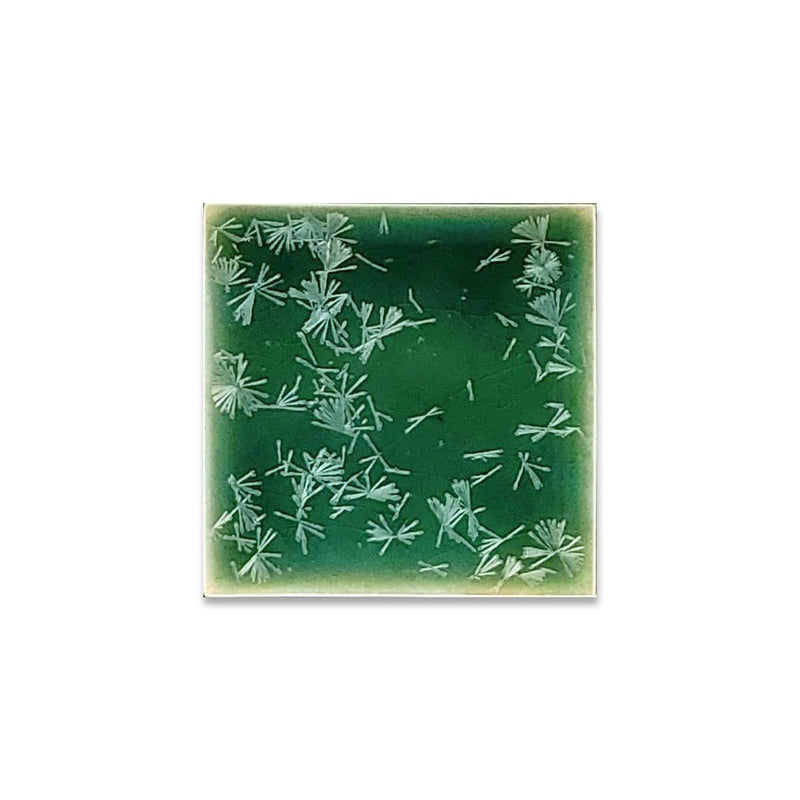 Bacardi Green | 4” x 4" Glaze Tile - LiLi Tile